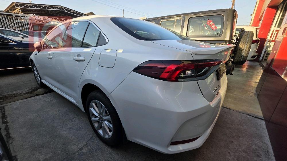 تويوتا كورولا